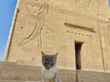 Private Day Tour from Luxor to Aswan and Kom Ombo