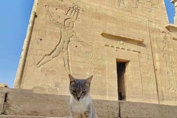 Private Day Tour from Luxor to Aswan and Kom Ombo