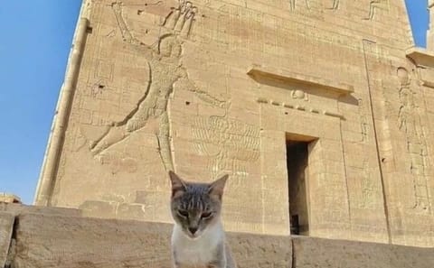 Private Day Tour from Luxor to Aswan and Kom Ombo