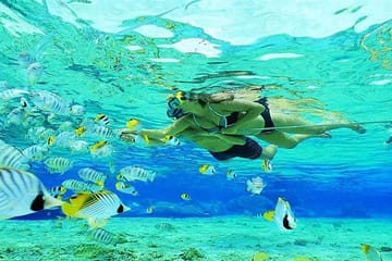 Snorkeling and Sailing Tour at Orange Bay, Hurghada