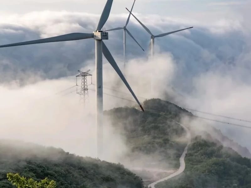 Shanghai: Dagangshan Windmills & Tea Fields Private Day Trip