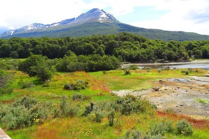 Private Excursion to the Tierra del Fuego National Park With Trekking And Canoes