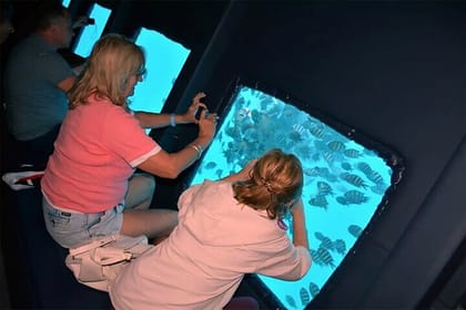 2 Hour Semi Submarine and Snorkel Tour in Hurghada