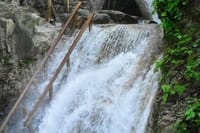 Damajagua Waterfalls and Monkey Private Van Tour 8