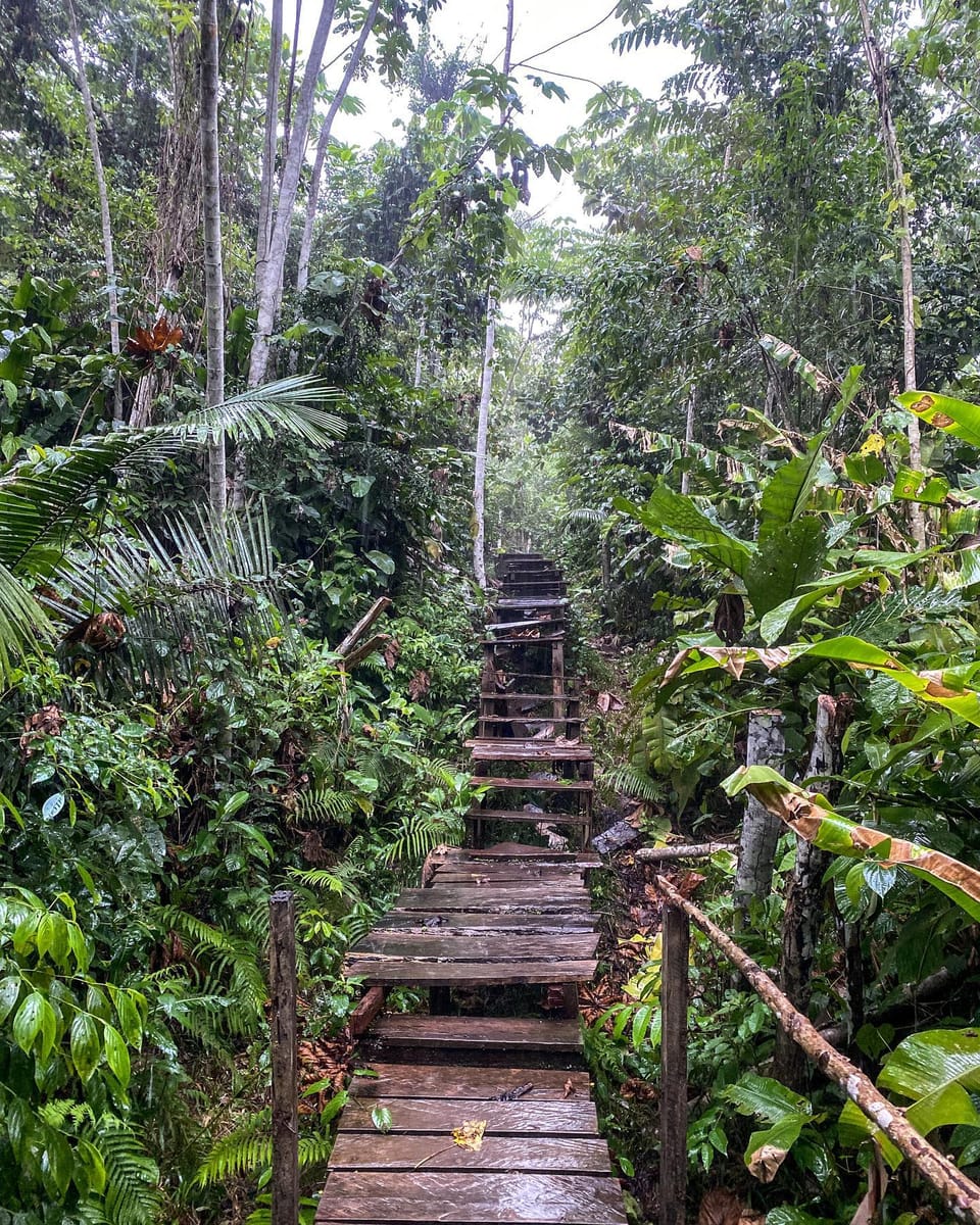 Turtle Beach Boat Tour & Mud Bath & Thermal Pool in Marmaris