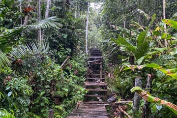 Adventure Tour to Regalias Waterfall in Pucallpa, Peru