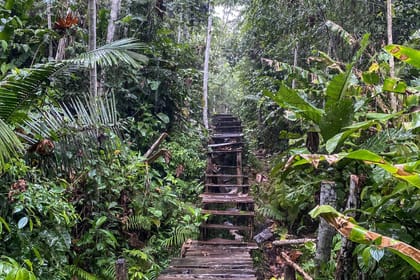 Adventure Tour to Regalias Waterfall in Pucallpa, Peru