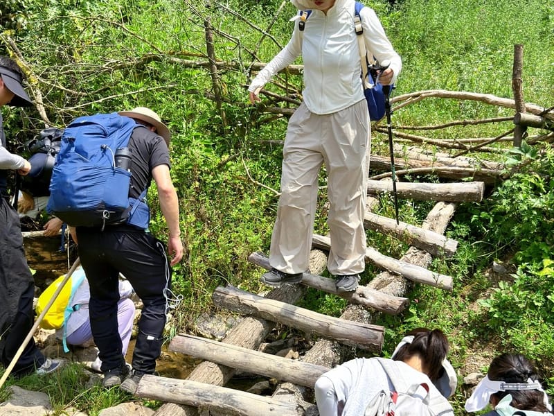 Chongqing: Baima Forest Meadows & Pastures Private Day Trip