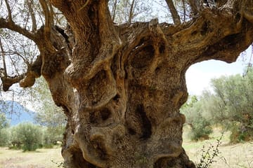 2 Days Private Tour: Sparta – Mystras – Mycenae – Epidaurus & Corinth