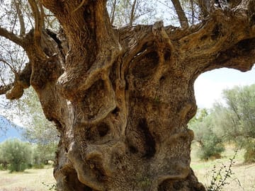 Private 2-Day Tour of Ancient Sites in Athens and Corinth