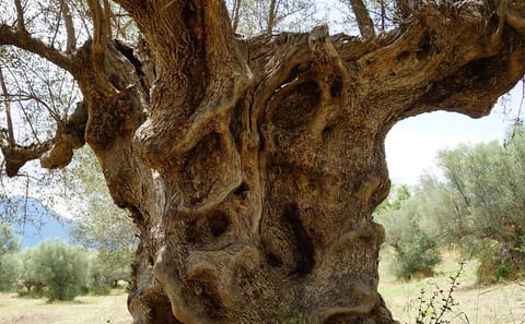 Private 2-Day Tour of Ancient Sites in Athens and Corinth