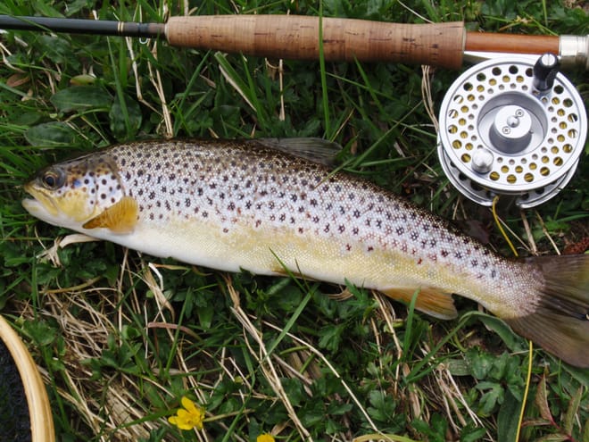 Wild brown trout fishing on Lough Corrib, 2 fishermen. Galway. Private guided. 6