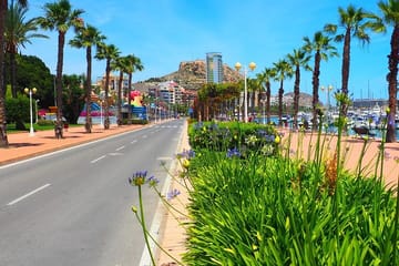 Cultural Walking Tour of Dénia's Coastal Views and Cuisine