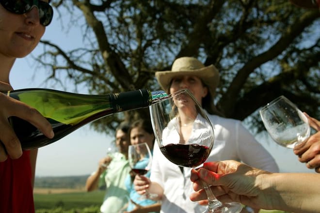Winery Tour included on any Private San Antonio Port Pre-Post Cruise Santiago City Tour and Undurraga Winery