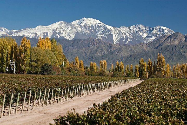 Air Tour to Mendoza: Wine Tasting, Aconcagua Views & Scenic Adventures