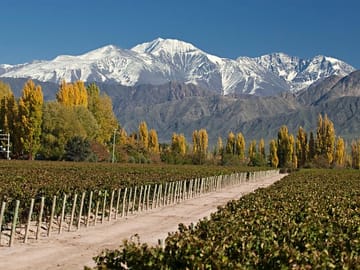 Aconcagua mountain