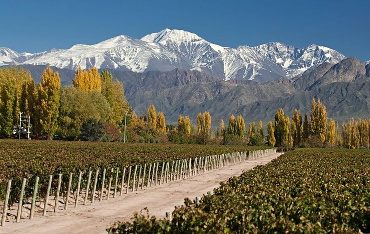 4-Day Trip to Mendoza by Air from Buenos Aires