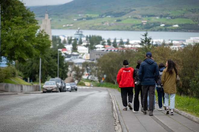 Akureyri City Walk with Local Food