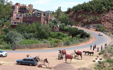 Atlas Mountains Day Trip: Explore Ourika Valley and Berber Villages