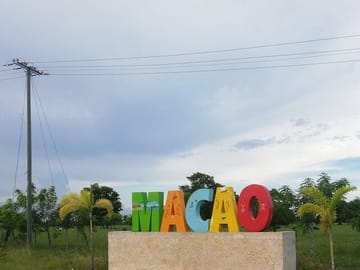 Horseback Riding Tour at Macao Beach in the Dominican Republic