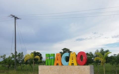 Horseback Riding Tour at Macao Beach in the Dominican Republic