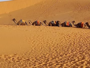 5-Day Group Tour of Morocco's Desert from Fes to Marrakech