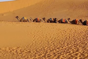 5-Day Group Tour of Morocco's Desert from Fes to Marrakech