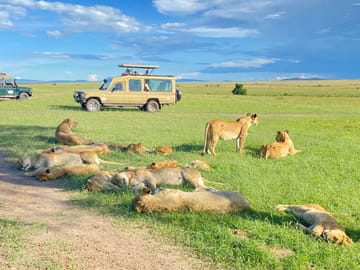 6 DAYS 5 NIGHTS MAASAI MARA,LAKE NAKURU AND AMBOSELI GROUP JOINING SAFARI