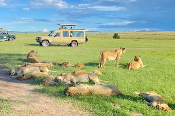 6 DAYS 5 NIGHTS MAASAI MARA,LAKE NAKURU AND AMBOSELI GROUP JOINING SAFARI