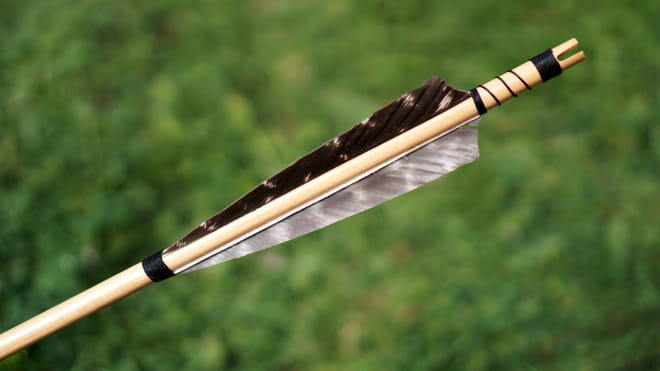 Archery combat. Galway. Guided. photo 6