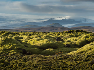 Volcanic Caves and Craters: The Lava Tunnel, Grindavík & Reykjanes Lava Fields Combo Tour, photo 24