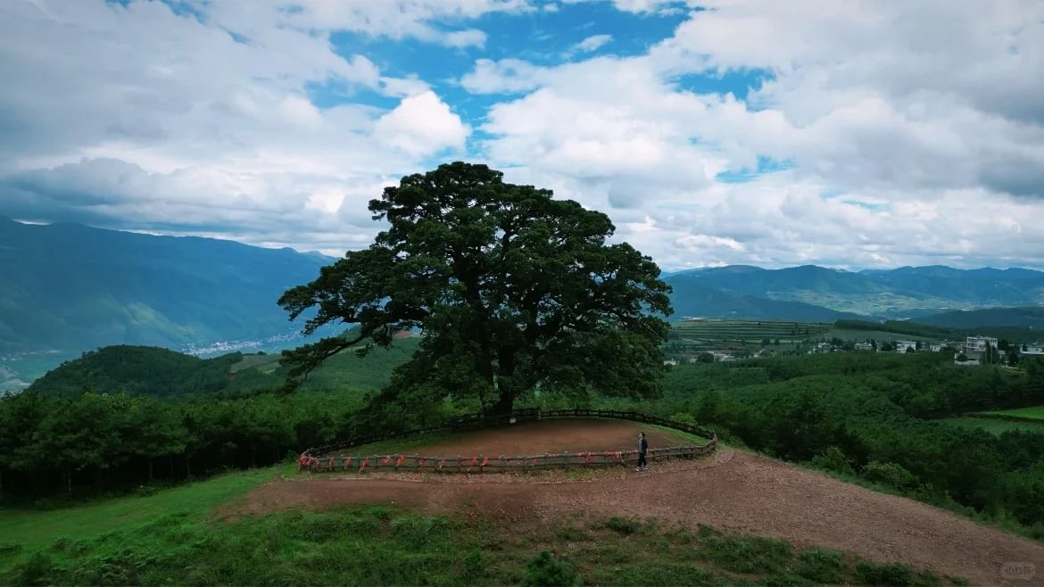 Millennial Nagarjuna