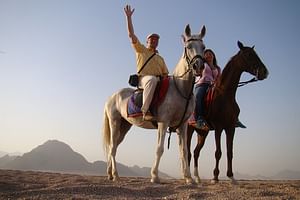 Bedouin Night Dinner, Egyptian Show, and Horse Ride tour 2 Hours-Sharm El Sheikh