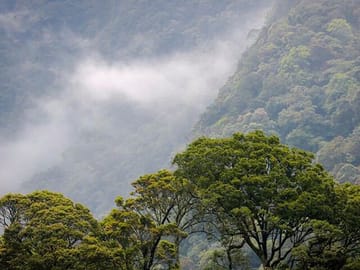 Camping Adventure in Mandaramnuwara from Kandy