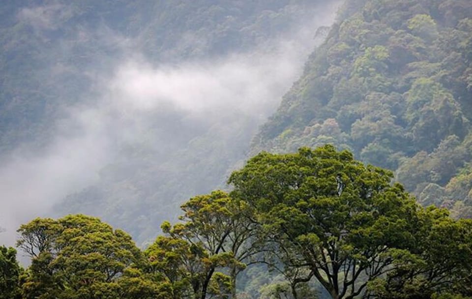 Camping Adventure in Mandaramnuwara from Kandy