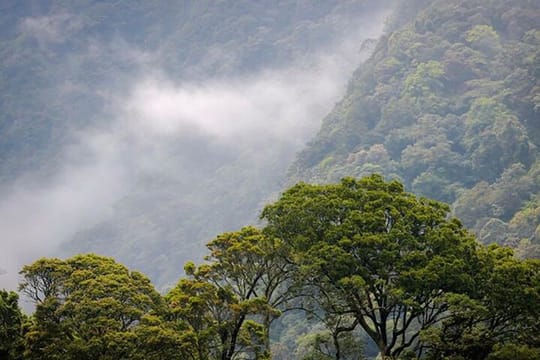 Kodiyaragala mandaram Nuwara Camping Night Tour From Kandy