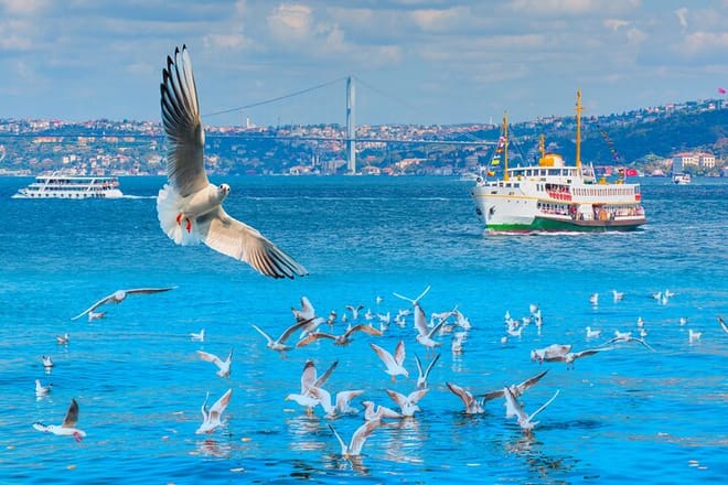 Bosphorus Boat Cruise & Two Continents Tour with Lunch 6