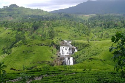 Day Trip to Nuwara Eliya with Kingfisher Tours