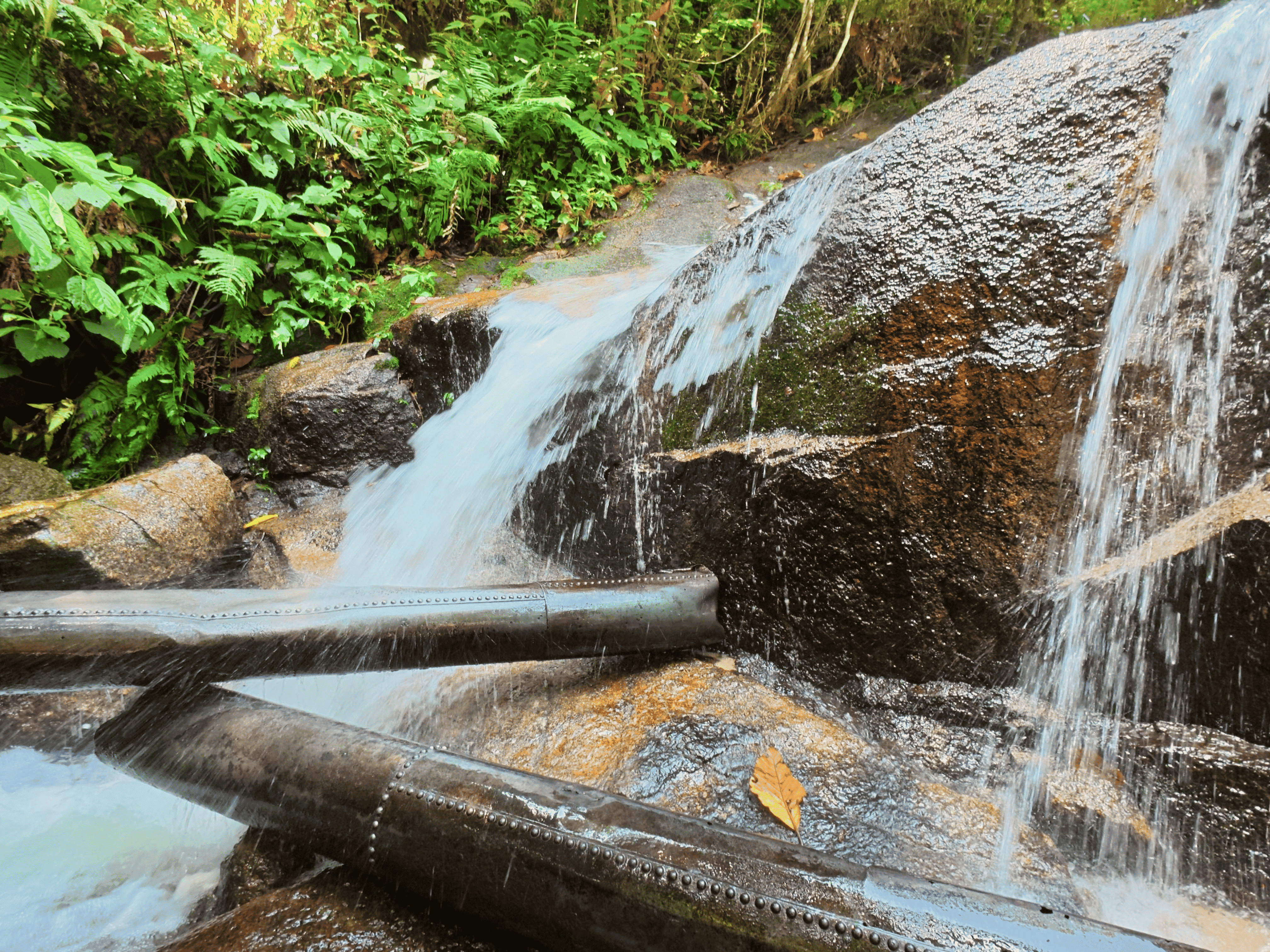 Water cascading over dark, mossy rocks with visible pipes in the stream at Sofea Jane Waterfall (Jeram Kubang Gajah), Kemensah, Selangor