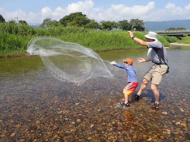 ノウルシ群生地 | 滋賀県観光情報［公式観光サイト］滋賀・びわ湖の