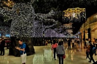Genting Highland & Batu Cave Guided Day Tour (SIC/Shared Tour) 8