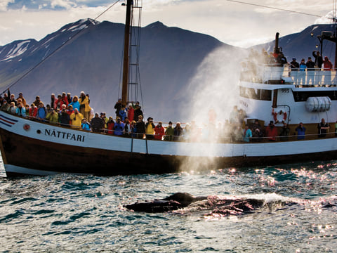Grand Tour of Iceland (12D/12N), photo 3