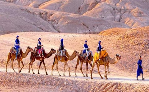 Agafay Desert Quad & Camel Rides with Dinner Show