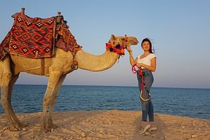 One hour Camel Ride At Amazing Desert With Transfer - Hurghada