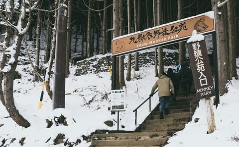 Nagano’s Snow Monkeys and Sake Tasting Day Tour