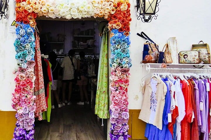 Lisbon to Porto with stops Aveiro-Fátima-Coimbra-Tomar-Nazaré-Óbidos