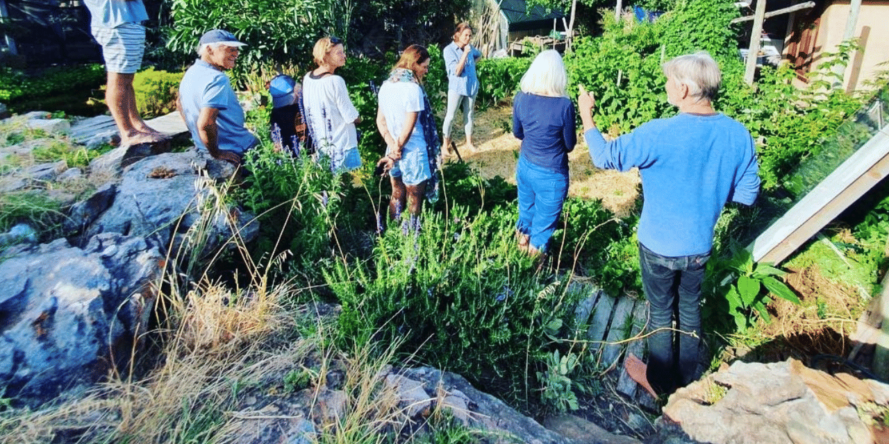 Scarborough: Coastal Foraging and Wild Food Lunch
