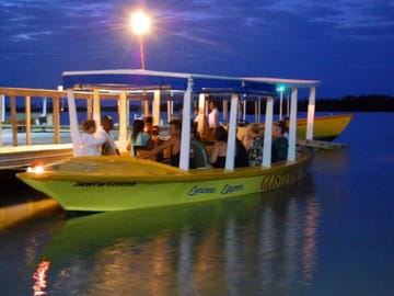 Luminous Lagoon Tour