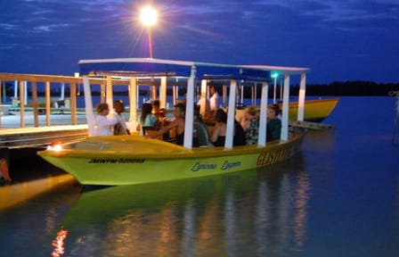 Night Tour of Rose Hall Mansion and Luminous Lagoon in Jamaica