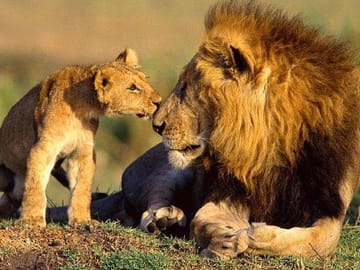 Lake Nakuru National park